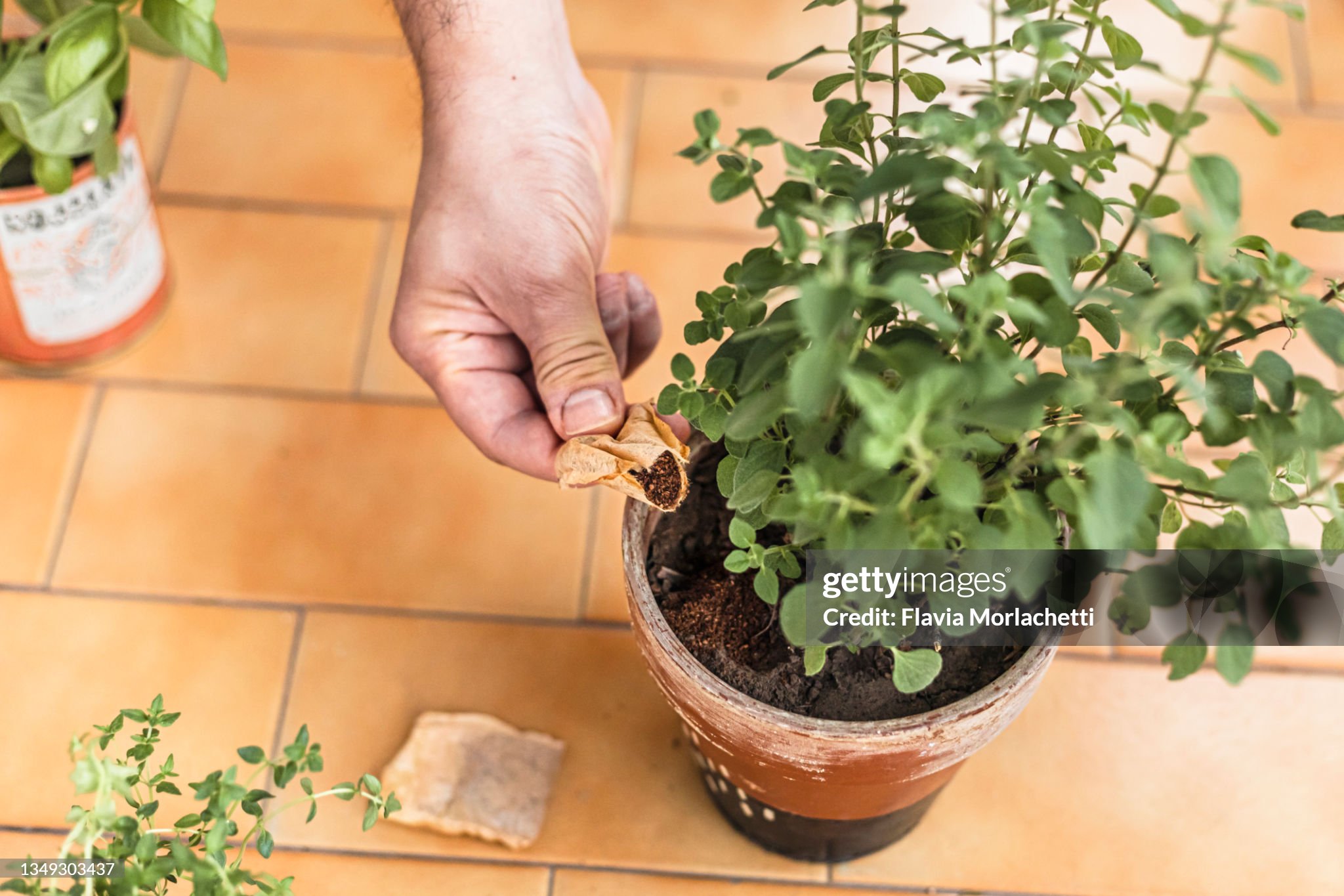 LIVE STOCK FARMING